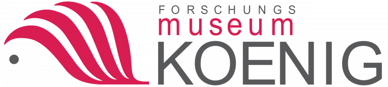 Logo Museum Koenig