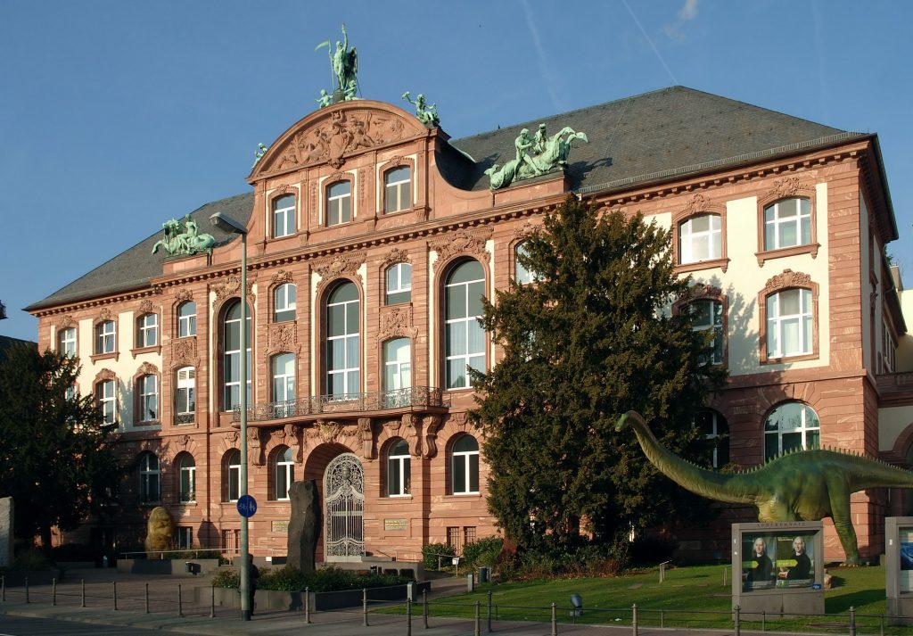 Fassade des Senckenberg Museum Frankfurt