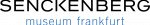 SNG-Frankfurt_Logo
